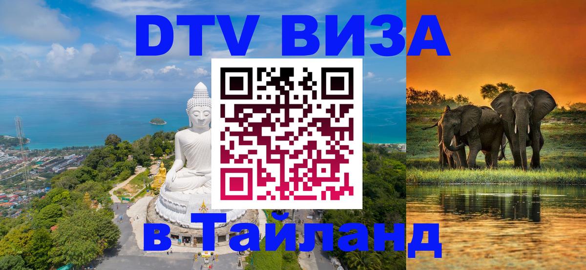 ДТВ VISA Тайланд для фрилансеров Брюссель 